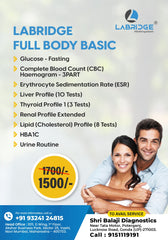 Labridge Full Body Basic